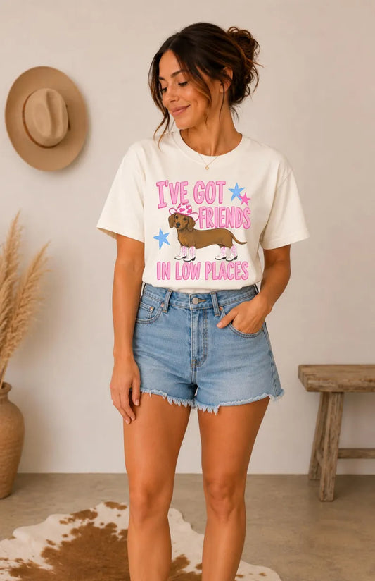 I've Got Friends in Low Places Comfort Colors® Tee