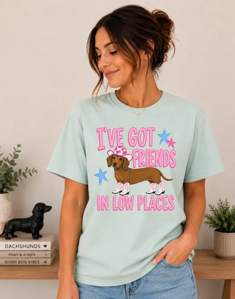 I've Got Friends in Low Places Comfort Colors® Tee